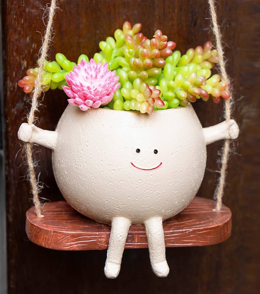 RZOIKZOI Hanging Planter,Cute Swinging Planter with Smiley